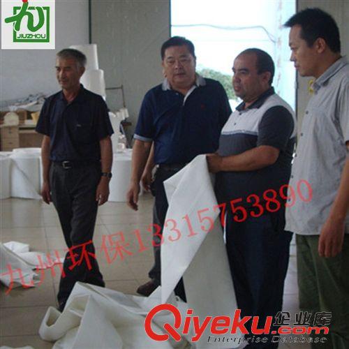 袋式除塵器配件 邯鄲 生產(chǎn)銷(xiāo)售 工業(yè)過(guò)濾袋 袋式過(guò)濾袋 高溫除塵布袋價(jià)格低原始圖片3