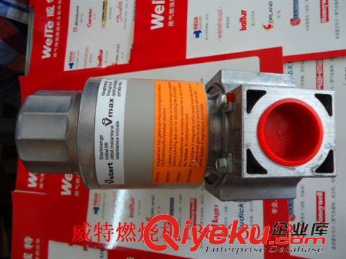 品牌配件分類 燃燒機配件電磁氣閥德國DUNGS MV-DLE 207/5 (6分單閥可調(diào))原始圖片2