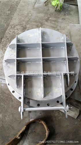 不銹鋼閘門和拍門 廠家供應拍門 不銹鋼拍門 節能型側開式拍門廠家直銷原始圖片2