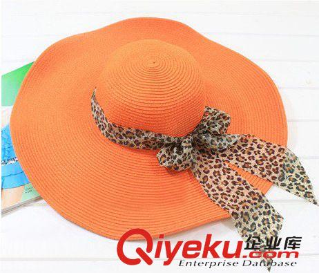 春夏遮陽(yáng)帽子 2014新款夏季旅游帽韓版大沿遮陽(yáng)帽子 女 沙灘草帽太陽(yáng)帽防紫外線原始圖片2
