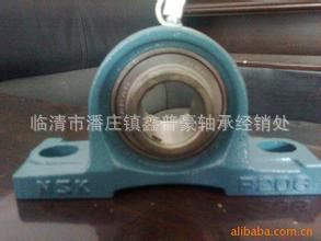 商家推薦 大量銷售NSK原裝進口精密外球面軸承 型號齊全質量保證UEL310