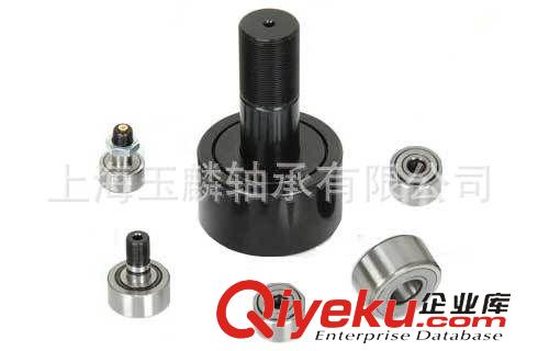 國產軸承  廠家直銷SKF滾柱軸承305800C-2Z優質型號雙列凸輪軸承