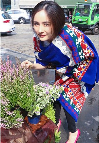 14年12月01日新款 2014Z家秋冬新款女式提花針織保暖圍巾仿羊絨柔軟披肩雪花圍巾