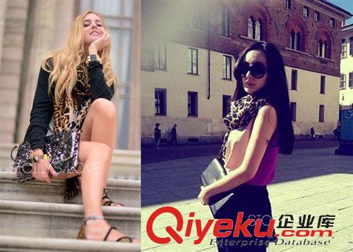 品牌區 2014新款秋冬季dp羊絨圍巾羊毛女歐美名媛品牌披肩豹紋冬天批發原始圖片3