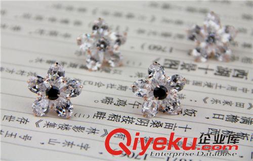 時(shí)尚飾品-防過(guò)敏 大耳釘水晶花朵 超美鋯石耳飾 女 韓版閃鉆滿(mǎn)鉆耳釘原始圖片2