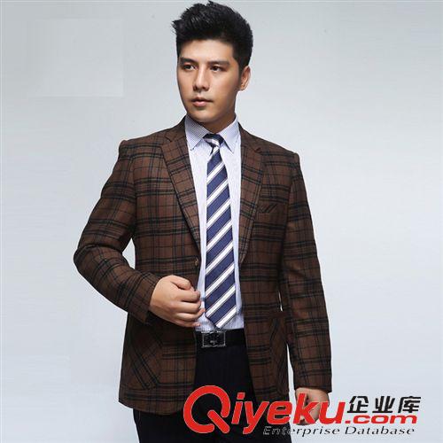 商務(wù)男裝上裝 品牌男裝2014秋裝新款男式襯衫純棉商務(wù)正裝男士長(zhǎng)袖條紋襯衫免燙