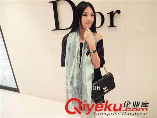 圍巾絲巾披肩 2014新款秋冬季dp羊絨圍巾羊毛女歐美名媛品牌披肩豹紋冬天批發