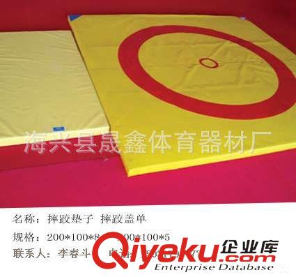 散打、拳擊臺(tái)、體操墊系列 體育器材廠專業(yè)生產(chǎn)訓(xùn)練比賽用體操摔跤墊、蓋單 支持私人訂制
