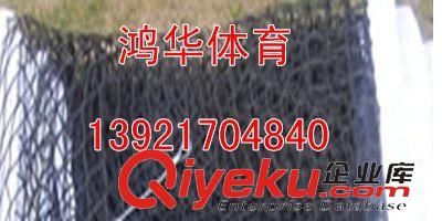 網(wǎng)球器材 供應(yīng) zpgd網(wǎng)球網(wǎng) 帶鋼絲網(wǎng)球網(wǎng)PE網(wǎng)球網(wǎng) 比賽訓(xùn)練專用原始圖片3
