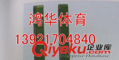 網球器材 專業(yè)生產WQJ-1直插式網球柱，歡迎來電原始圖片3