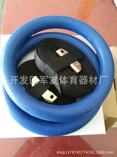 健身器材 可調節ABS健身房家用體操用健身吊環 引體向上倒掛健身器材