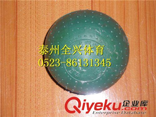田徑類 體操墊/泰州市全興體育器材廠生產(chǎn)體操墊批發(fā)體操墊