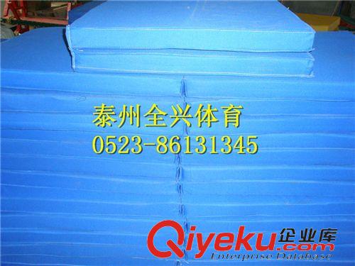 健身類 體操墊/泰州市全興體育器材廠生產體操墊批發體操墊