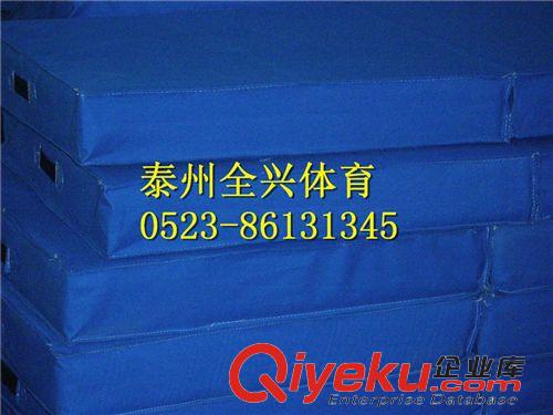健身類 體操墊/泰州市全興體育器材廠生產體操墊批發體操墊原始圖片3