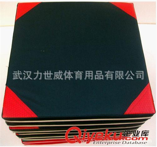 舞蹈把桿、體操用品系列 廠家供應(yīng)體操墊 舞蹈墊 運(yùn)動(dòng)墊 武術(shù)墊 跆拳道墊子 質(zhì)量保證原始圖片3