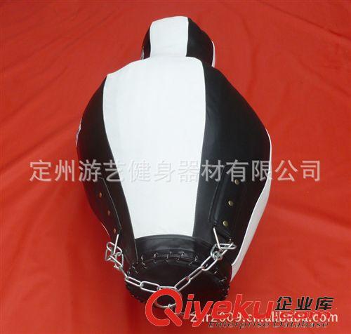 拳擊散打用品 2012龍年異形拳擊沙袋 出口產(chǎn)品 互聯(lián)網(wǎng)zmpp 花瓶形拳擊沙包