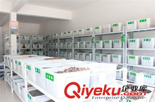 精品種子系列 進(jìn)口牧草種子菊苣，高蛋白，高產(chǎn)細(xì)纖維好吸收，雞鴨鵝{sx}牧草原始圖片3