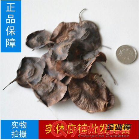 精品種子系列 進口牧草紫花苜宿種子，高蛋白，高花青素，雞鴨魚牛羊專用牧草