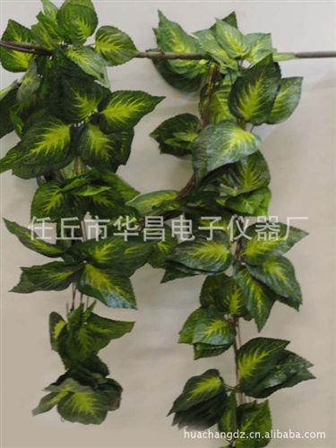 仿真植物藤條 仿真綠蘿花葉藤，仿真植物藤條，常青藤，裝飾藤條，紫羅蘭葉子藤