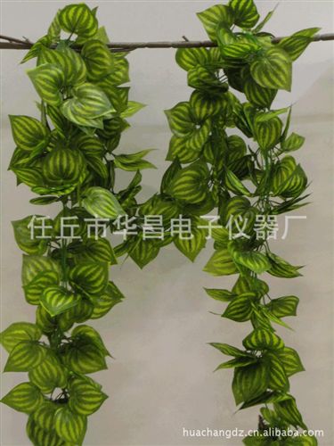 仿真植物藤条 仿真兔仔叶藤条，仿真植物，人造植物叶子，仿真叶藤花藤果藤