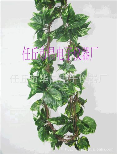 仿真植物藤条 仿真芋头叶藤条，仿真植物，仿真植物叶藤果藤，花藤花链