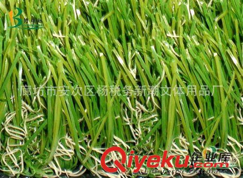 人造草坪 廠家直銷休閑運(yùn)動(dòng)草坪 足球場(chǎng)人造草坪原始圖片3