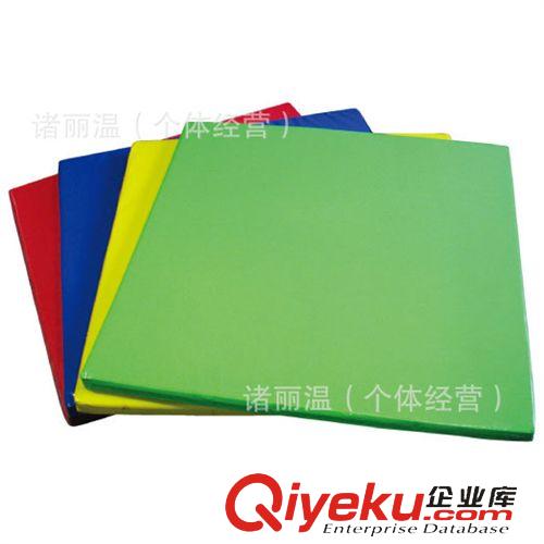 軟體玩具系列 供應(yīng)海綿體操墊 軟皮包體操墊 運(yùn)動(dòng)體操墊 對(duì)折體操墊原始圖片2