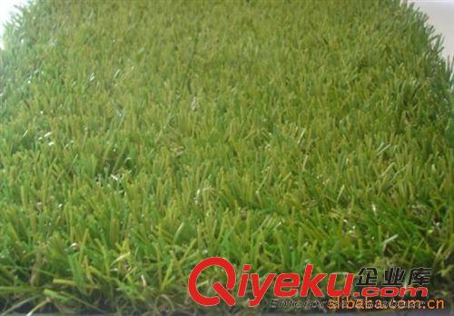 橡膠地墊 供應50mm人造草坪草皮 足球場人造草皮 高檔休閑人造草皮原始圖片2