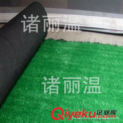 人工草坪 人造草坪 【熱銷廉價(jià)】供應(yīng)綠化草坪 展會(huì)草坪 天津草坪 地毯草坪原始圖片2