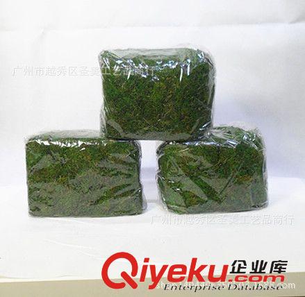 精品推薦 廠家供應(yīng) 仿真植物干苔蘚 裝飾草工藝仿真植物批發(fā)原始圖片2