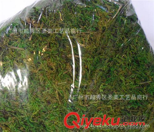 精品推薦 廠家供應(yīng) 仿真植物干苔蘚 裝飾草工藝仿真植物批發(fā)原始圖片3