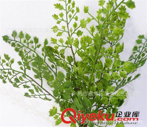 熱銷產品 廠家直銷 小號圓形洋蕨葉仿真植物 綠色環保仿真植物批發原始圖片3