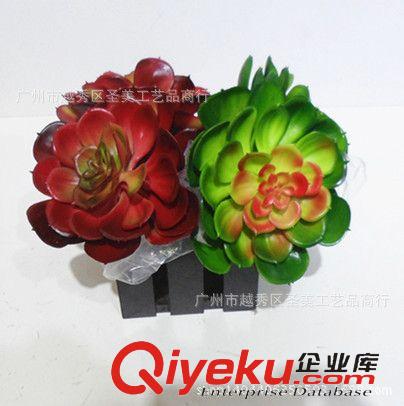 插花用品 供應多肉類仿真植物 軟膠寶石蓮 廠家直銷沙漠花 家居裝飾盆景原始圖片2