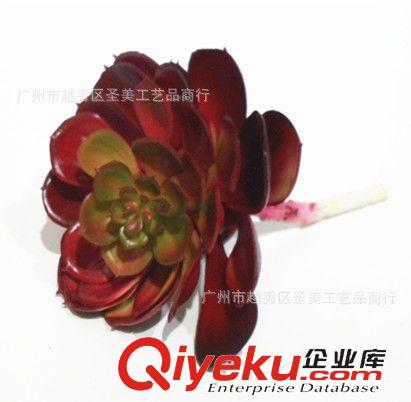 插花用品 供應多肉類仿真植物 軟膠寶石蓮 廠家直銷沙漠花 家居裝飾盆景原始圖片3
