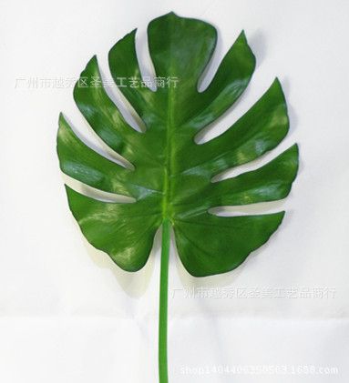 PU花 專業供應 大號龜背葉工藝仿真植物 仿真植物系列批發加工原始圖片2