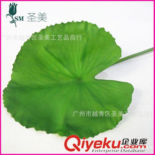 PU花 專業供應 大號龜背葉工藝仿真植物 仿真植物系列批發加工