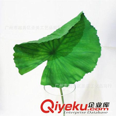 PU花 PU大號蓮葉手感仿真花 綠色仿真植物系列批發原始圖片3