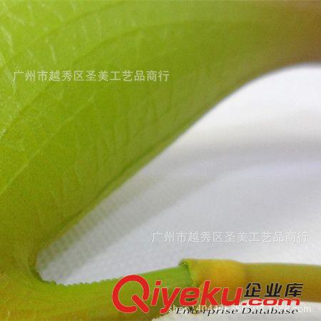 仿真葉 供應(yīng)gf真豬籠草仿真花套裝 仿真植物墻裝飾原始圖片3