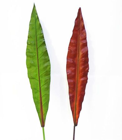 仿真葉 仿真植物廠家 發(fā)泡柳枝帶葉 插花用品花藝套裝