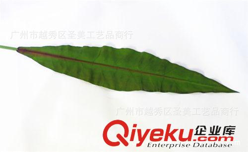 仿真葉 廠家供應(yīng) 裝飾仿真單支小號(hào)蕨葉 仿真手工蕨葉植物 加工定制原始圖片2