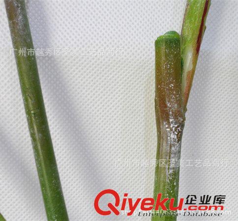 仿真葉 外貿(mào)廠家直銷 仿真婚慶花鳳凰蕨 插花配材花藝套裝仿真花束原始圖片3