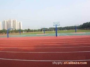 塑膠球場 桐鄉(xiāng)草坪、塑膠跑道  橡膠卷材原始圖片2