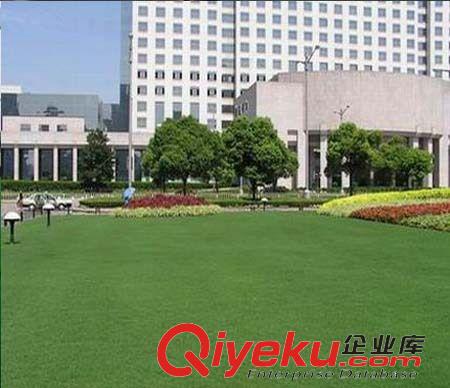 人造草坪 北京各種優(yōu)質(zhì)、數(shù)碼迷彩布８７８８３５８７品種齊，價(jià)格優(yōu)惠