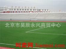 人造草坪 供應(yīng)仿真人造草坪，草坪地毯87883587仿真草坪原始圖片3