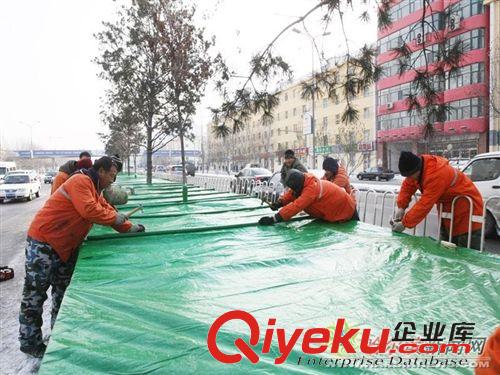 棉門簾 北京廠家直銷綠化防寒布，無紡布，８７８８３５８７原始圖片3