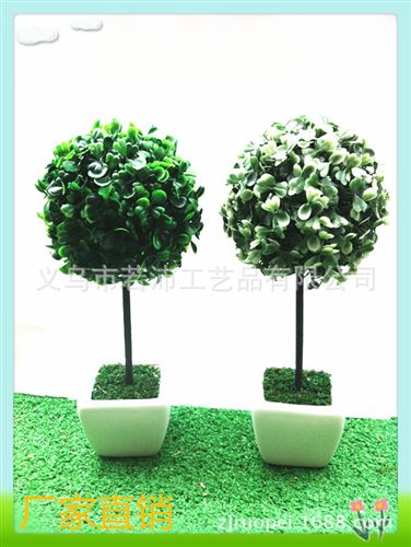 仿真盆景 仿真植物  歐式風(fēng)格  家具裝飾 精美禮品 迷你小盆栽 室內(nèi)外裝飾原始圖片2