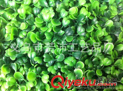 仿真草坪 仿真植物 室內外裝飾草坪 義烏廠家直銷 觀賞 綠化 工藝品 瓜子草原始圖片2