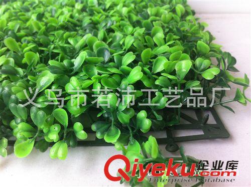 仿真草坪 仿真植物 室內外裝飾草坪 義烏廠家直銷 觀賞 綠化 工藝品 瓜子草原始圖片3