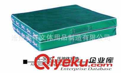 體操墊 供應(yīng)批發(fā) AX-3030 仰臥起坐墊 橡膠體操墊 體操墊價(jià)格優(yōu)惠原始圖片3