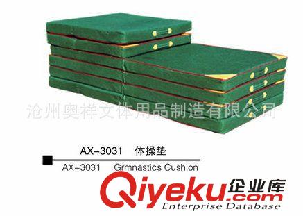體操墊 廠家直銷 AX-3031 體育墊子 舞蹈體操墊子